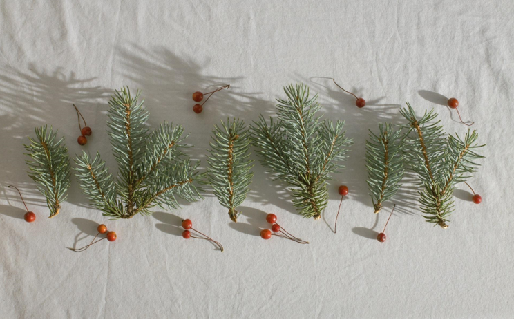 Christmas in the Natural Beauty of a Barn Wedding Fort Myers