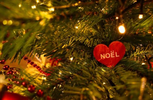 Choosing Your Perfect Christmas Tree