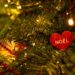 Choosing Your Perfect Christmas Tree